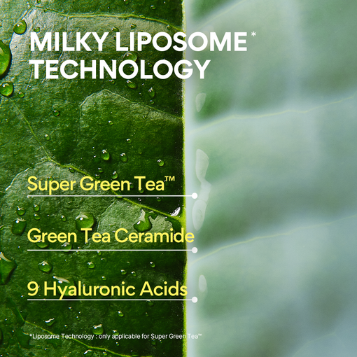 Green Tea Ceramide Milk