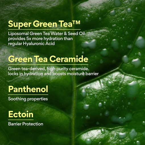 Green Tea Ceramide Mist 90ml