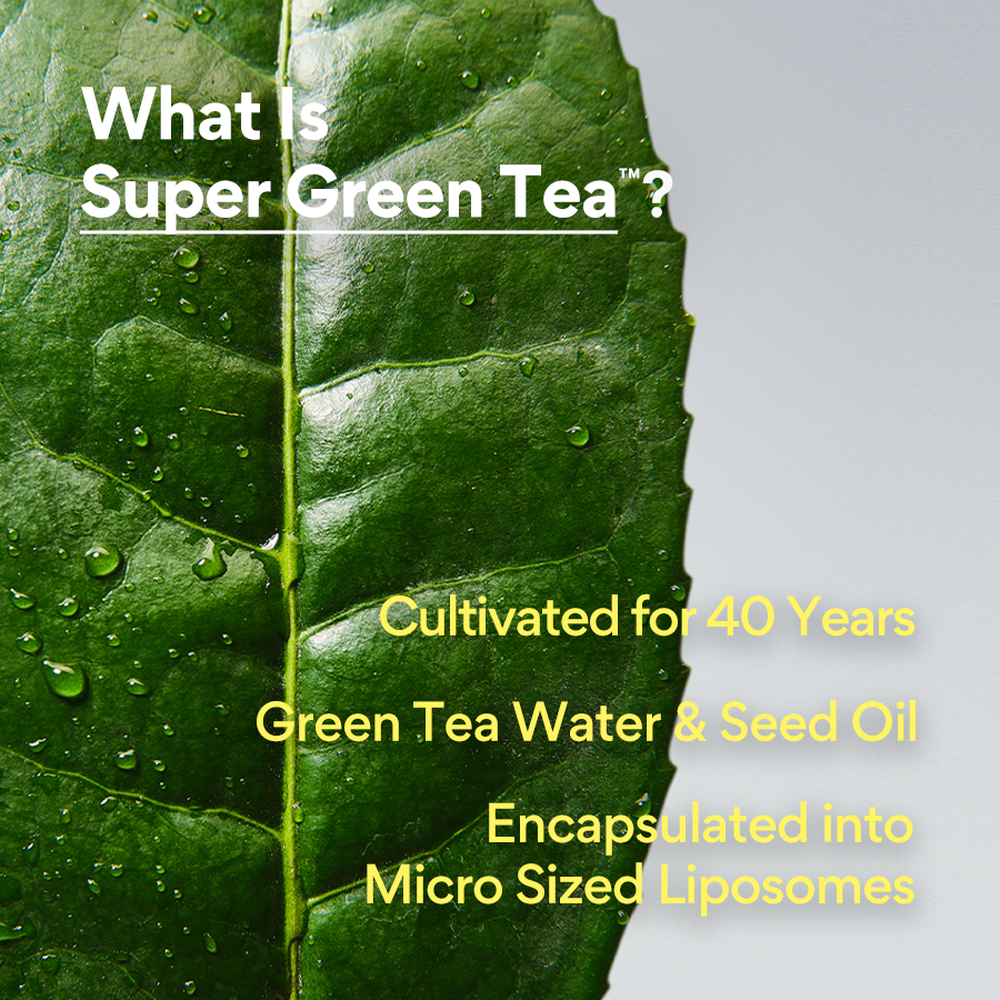 Green Tea Ceramide Milk