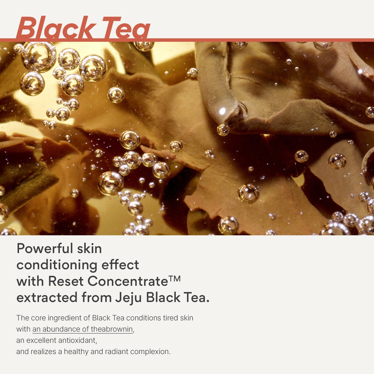 Black Tea Youth Enhancing Skin