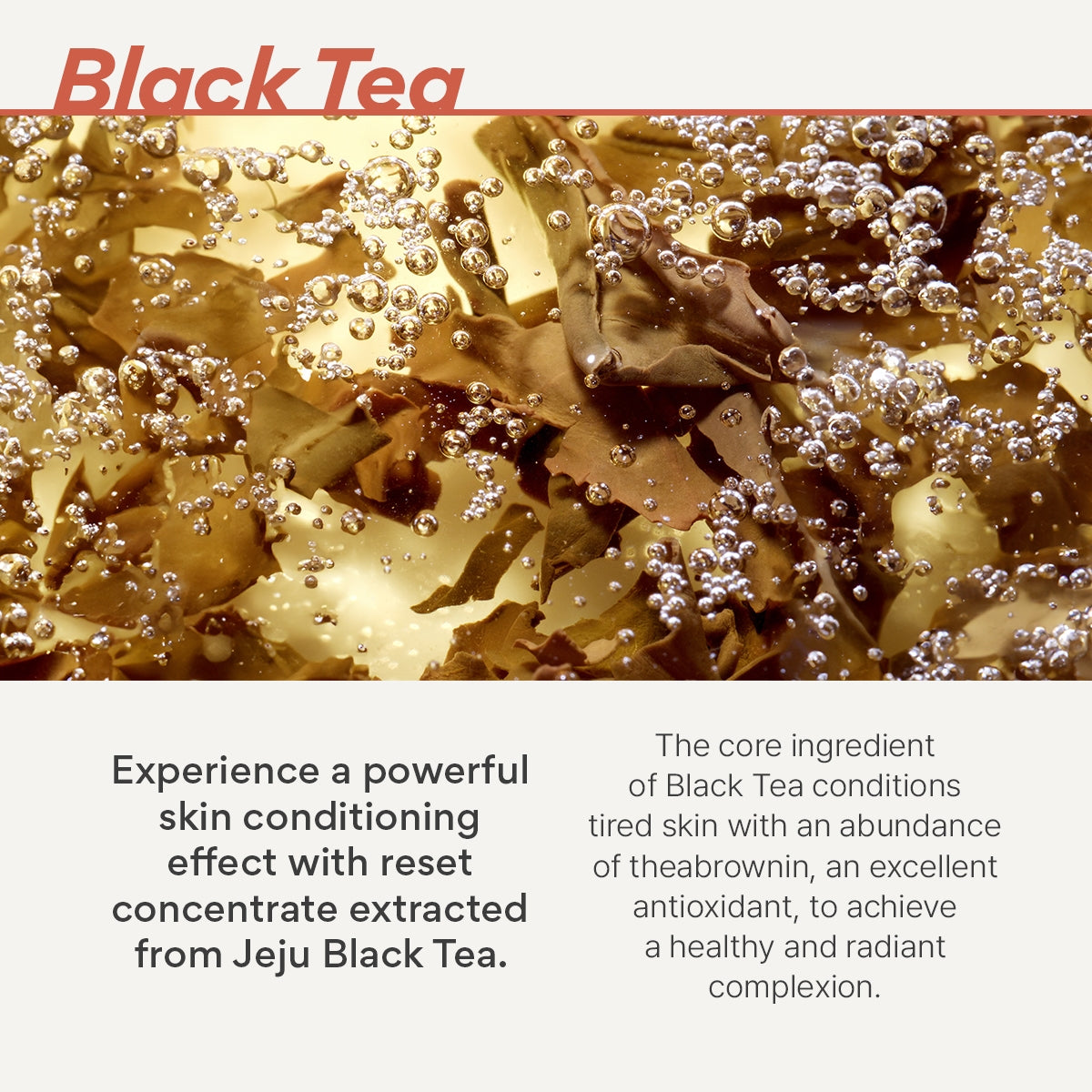 Black Tea Youth Enhancing Lotion
